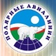 Полярные авиалинии