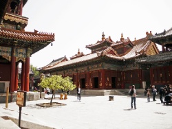 Lama Temple