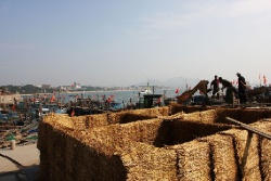 Хулудао. Остров Juhua.