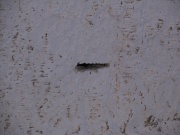 Лхаса, дворец Потала