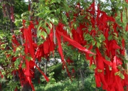 Храмово – монастырский комплекс Гуанмин