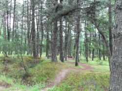 Хуньчунь, буддийский храм