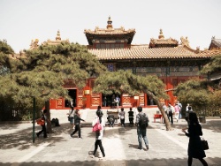 Lama Temple