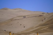 Dunhuang49