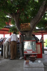 Хулудао. Остров Juhua.