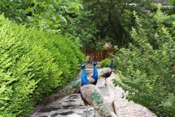 Великая стена. Участок Цзюмэнькоу. Хулудао.