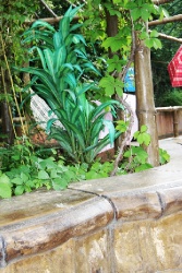 Великая стена. Участок Цзюмэнькоу. Хулудао.