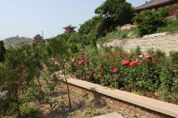 Хулудао. Остров Juhua.