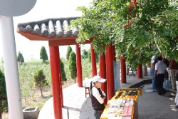 Хулудао. Остров Juhua.