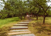   Ухань. Восточное озеро