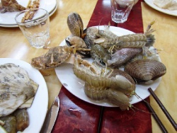 Бойкий краб пытается удрать