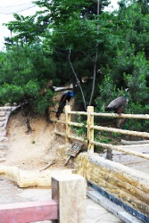 Великая стена. Участок Цзюмэнькоу. Хулудао.