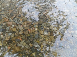 Сплав по реке Туманган.