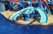 Гонконг. Ocean Park