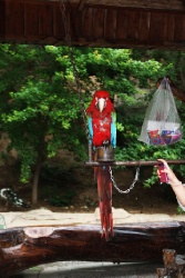 Великая стена. Участок Цзюмэнькоу. Хулудао.