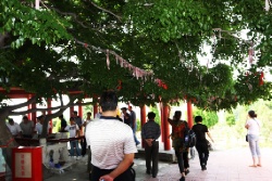 Хулудао. Остров Juhua.