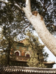 Летний дворец (Ихэюань)