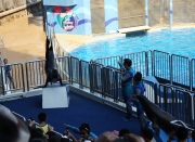 Гонконг. Ocean Park