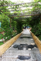 Великая стена. Участок Цзюмэнькоу. Хулудао.