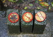 Ущелье реки Малин