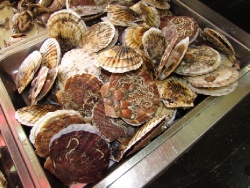 Выбор морепродуктор весьма широк