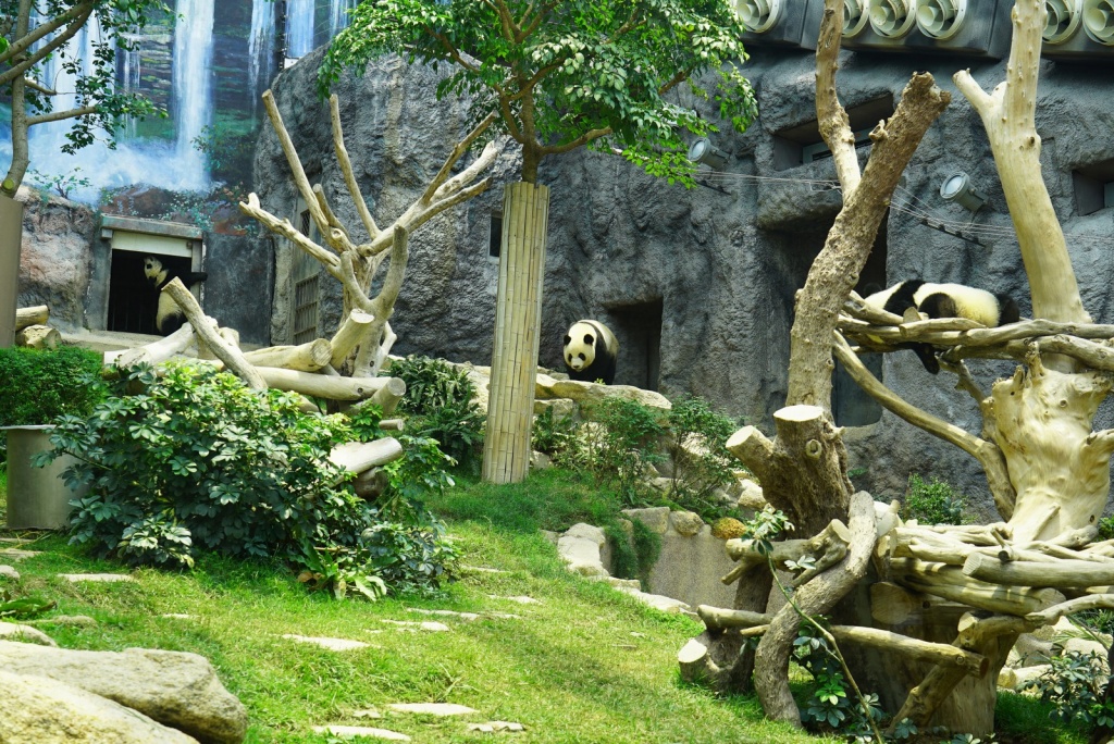 Giant Panda pavillon
