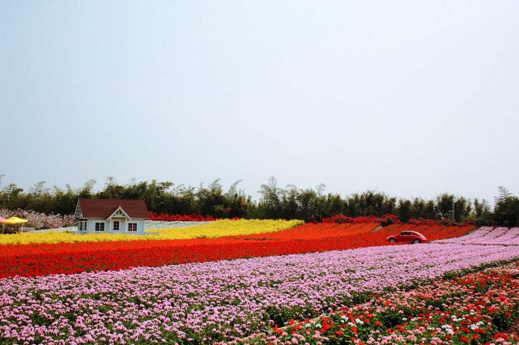 Парк миллиона подсолнухов, Гуанчжоу