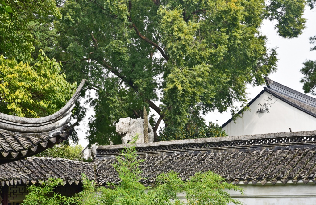 Сад Львиная роща, Сучжоу
