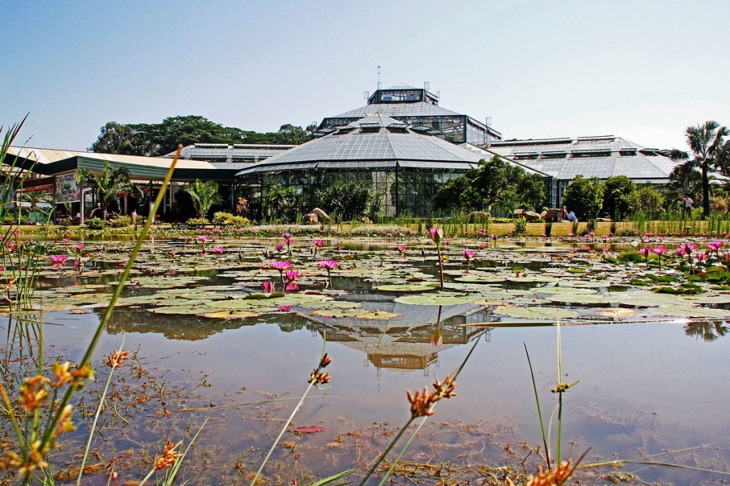 Ботанический сад Гуанчжоу